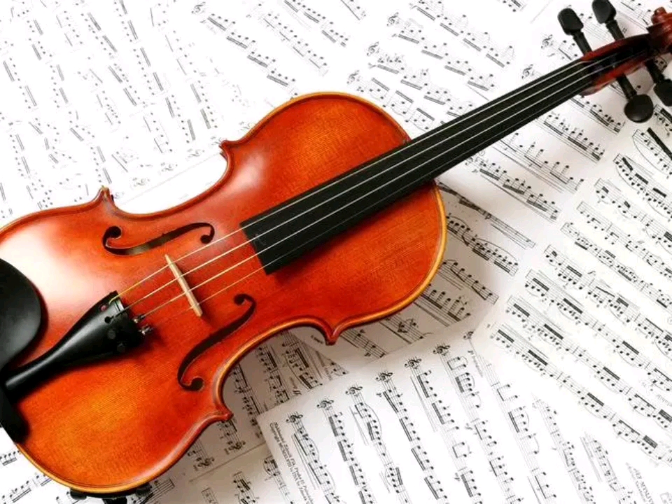 Violin Learning App